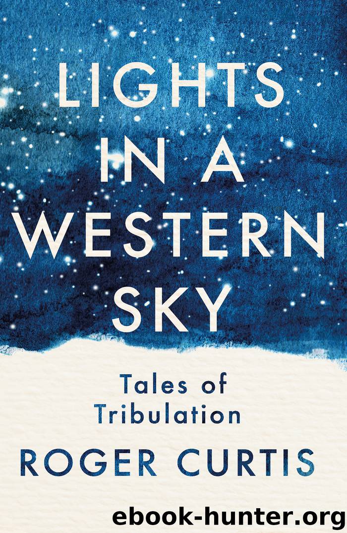 Lights in a Western Sky by Roger Curtis