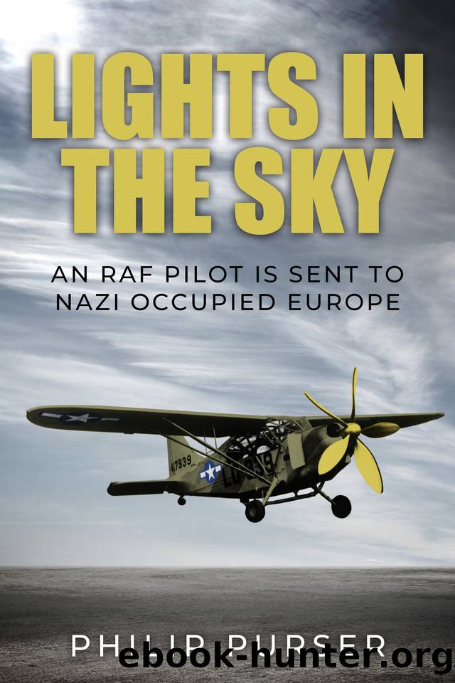Lights in the Sky: An RAF pilot is sent to Nazi-Occupied Europe (Philip Purser Historical Thrillers) by Purser Philip