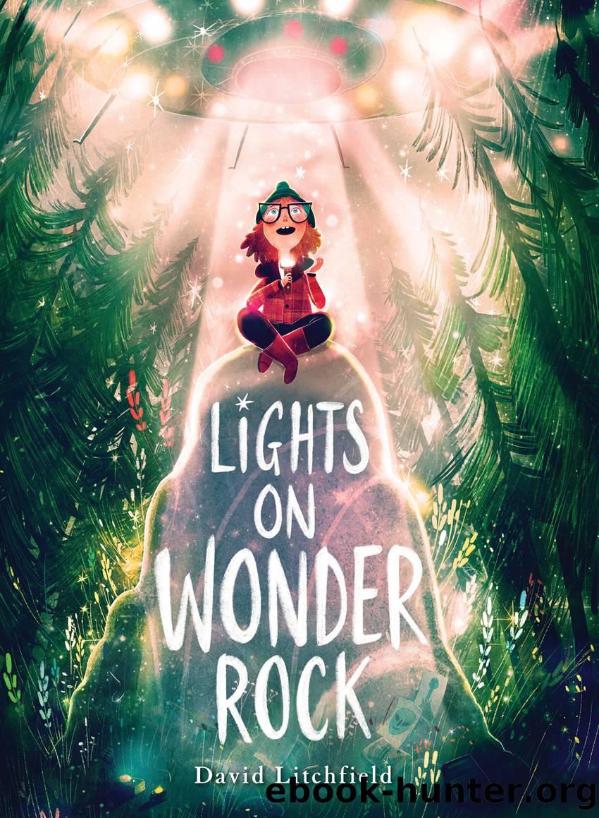 Lights on Wonder Rock by David Litchfield