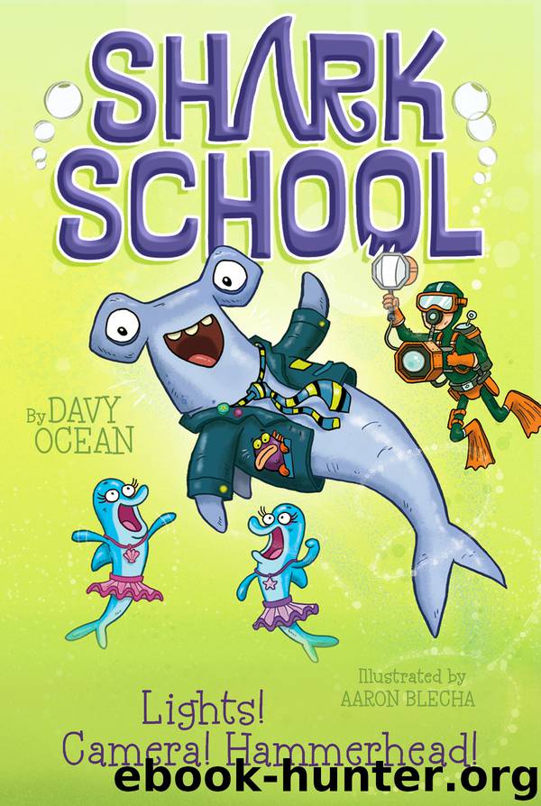 Lights! Camera! Hammerhead! by Davy Ocean