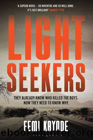 Lightseekers by Femi Kayode
