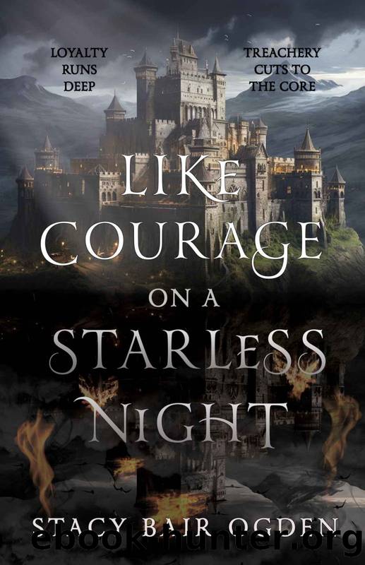 Like Courage on a Starless Night by Stacy Bair Ogden