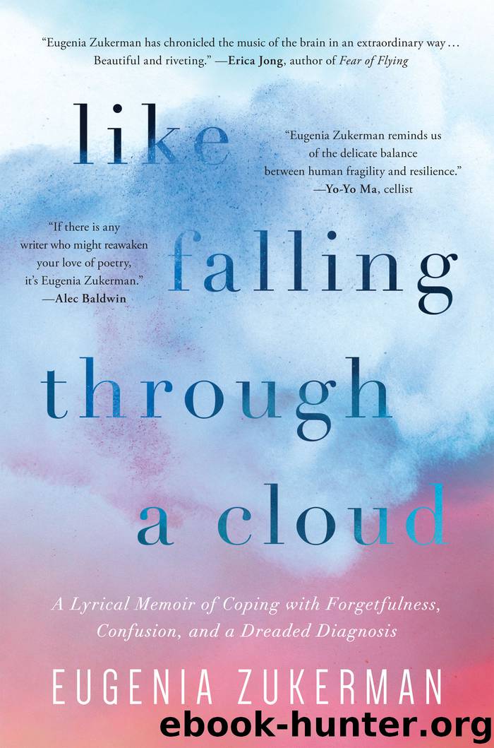 Like Falling Through a Cloud by Eugenia Zukerman