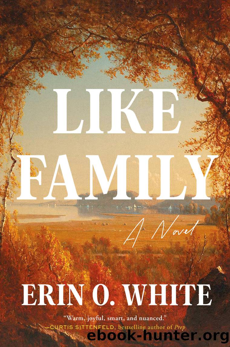 Like Family by Erin O. White