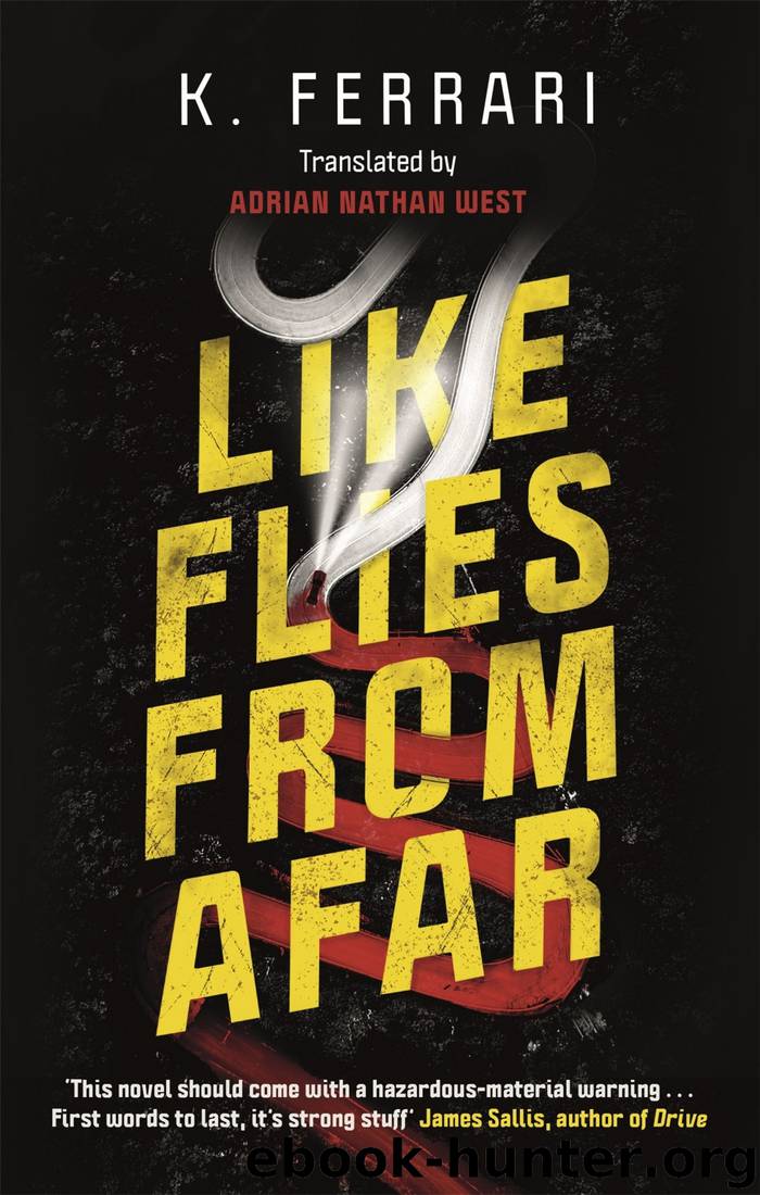 Like Flies From Afar by K. Ferrari