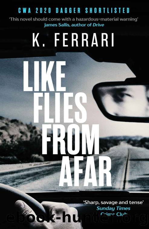 Like Flies from Afar by Ferrari K