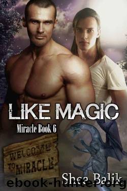 Like Magic (Miracle Book 6) by Shea Balik