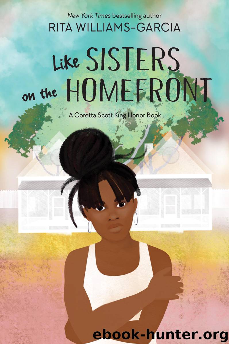 Like Sisters on the Homefront by Rita Williams-Garcia