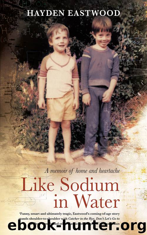 Like Sodium in Water by Hayden Eastwood