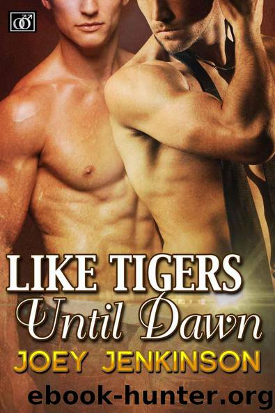 Like Tigers Until Dawn by Joey Jenkinson