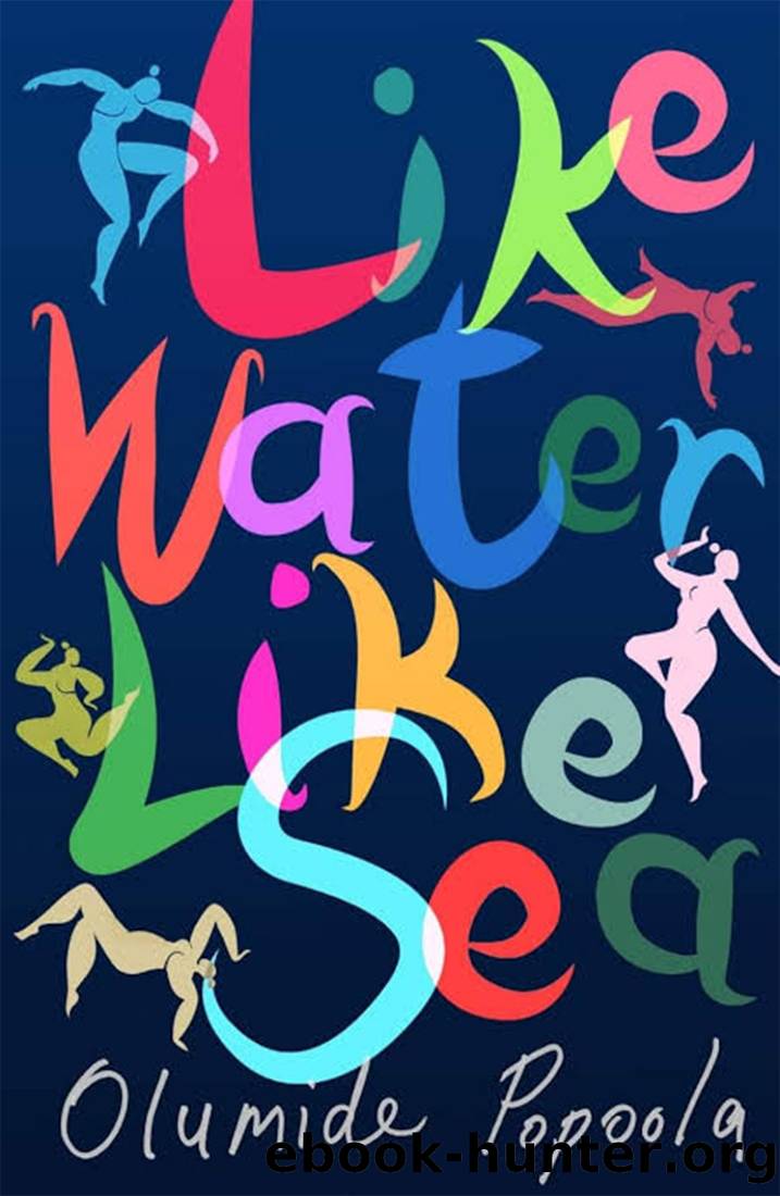 Like Water Like Sea by Olumide Papoola