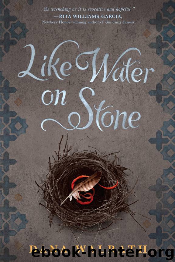 Like Water on Stone by Dana Walrath