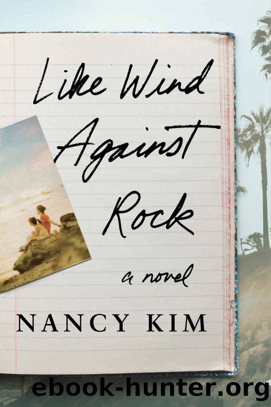 Like Wind Against Rock: A Novel by Nancy Kim