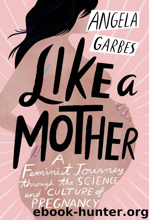 Like a Mother by Angela Garbes