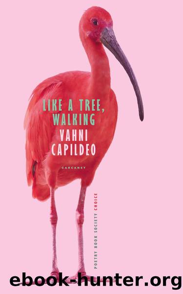 Like a Tree, Walking by Vahni Capildeo