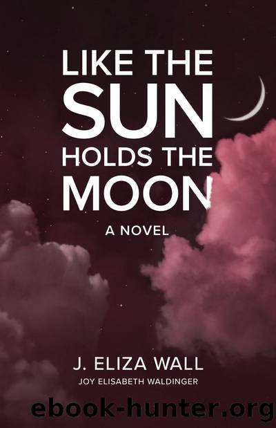 Like the Sun Holds the Moon by Joy Elisabeth Waldinger