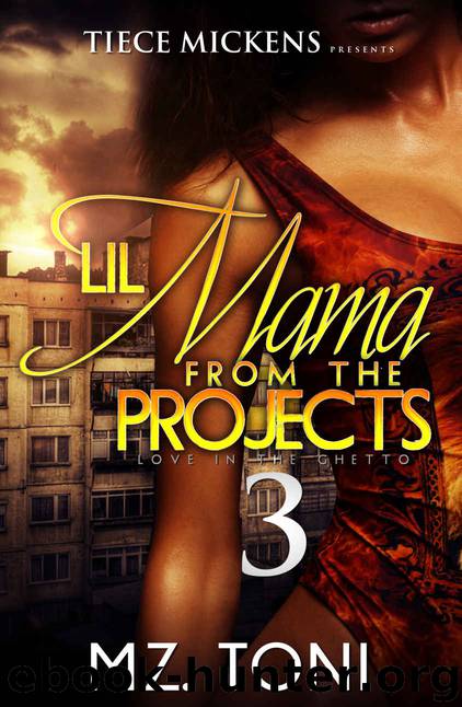 Lil Mama From The Projects 3 by Mz. Toni