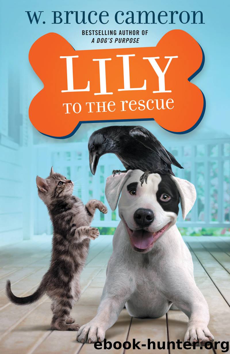 Lily to the Rescue by W. Bruce Cameron