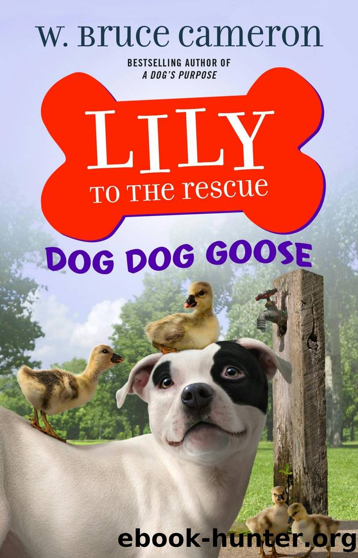 Lily to the Rescue: Dog Dog Goose by Cameron W. Bruce