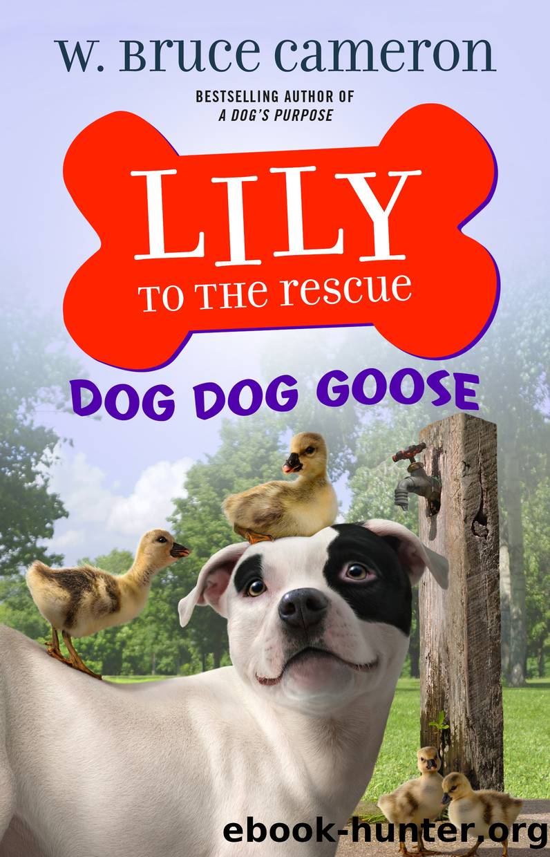 Lily to the Rescue: Dog Dog Goose by W. Bruce Cameron