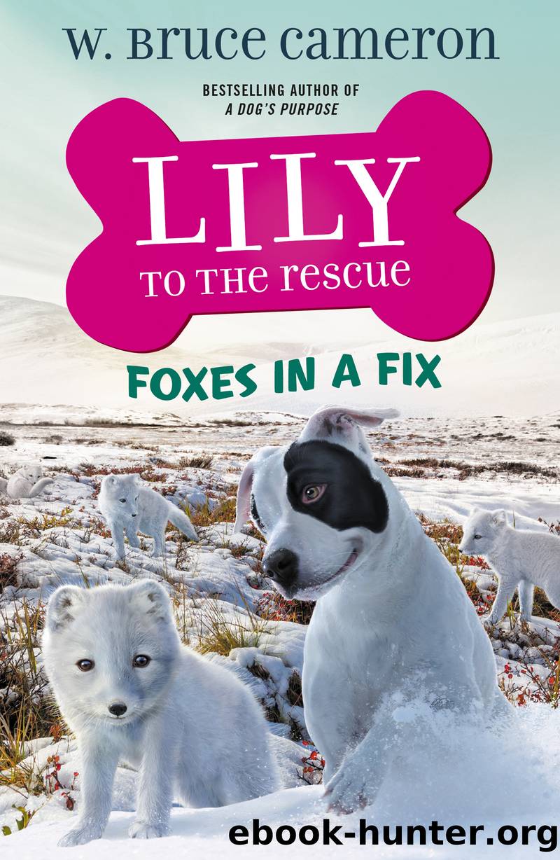 Lily to the Rescue: Foxes in a Fix by W. Bruce Cameron