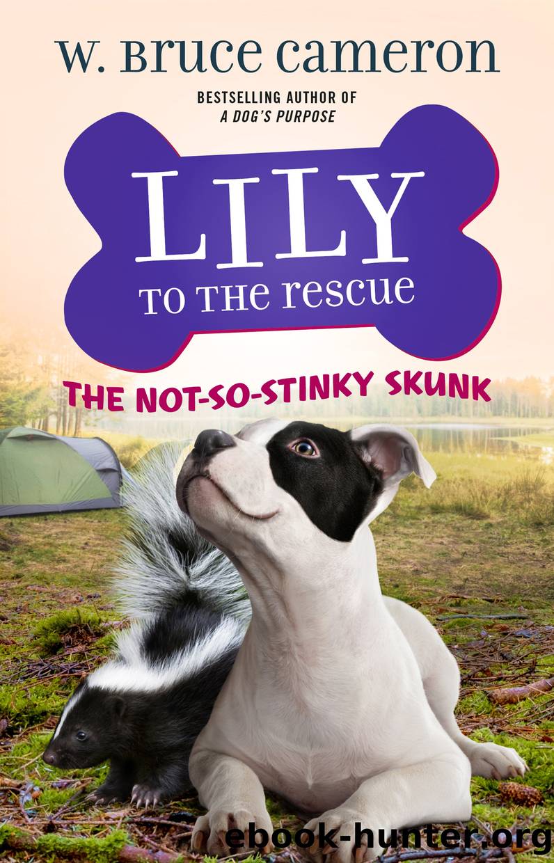 Lily to the Rescue: The Not-So-Stinky Skunk by W. Bruce Cameron