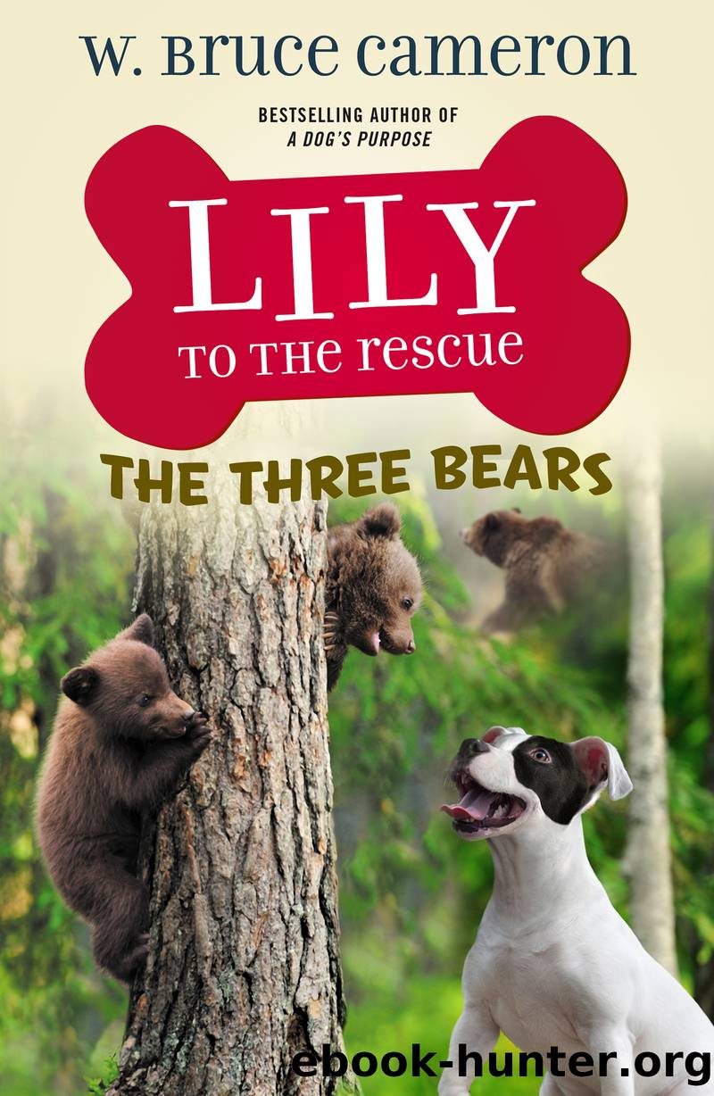 Lily to the Rescue: The Three Bears by W. Bruce Cameron