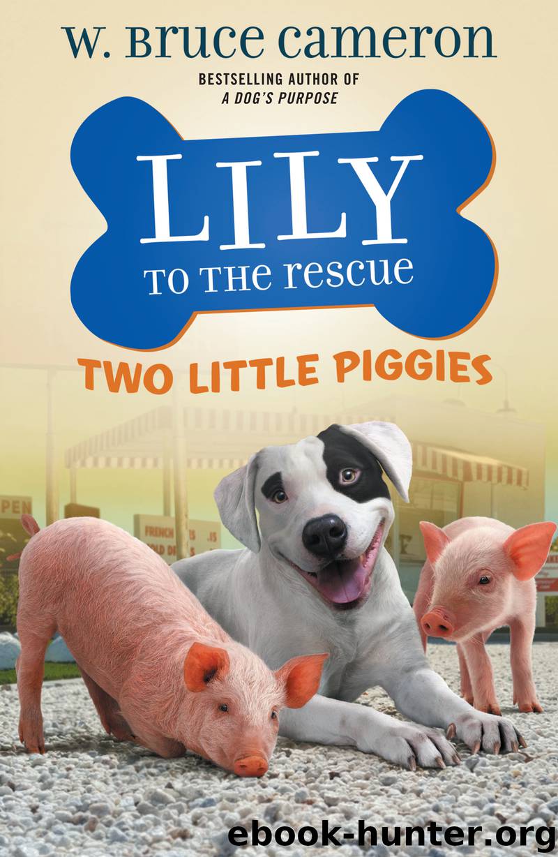 Lily to the Rescue: Two Little Piggies by W. Bruce Cameron