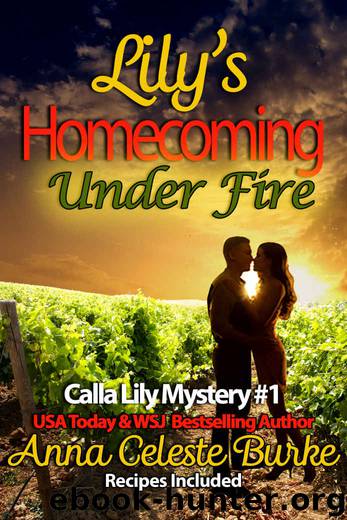 Lily's Homecoming Under Fire by Anna Celeste Burke