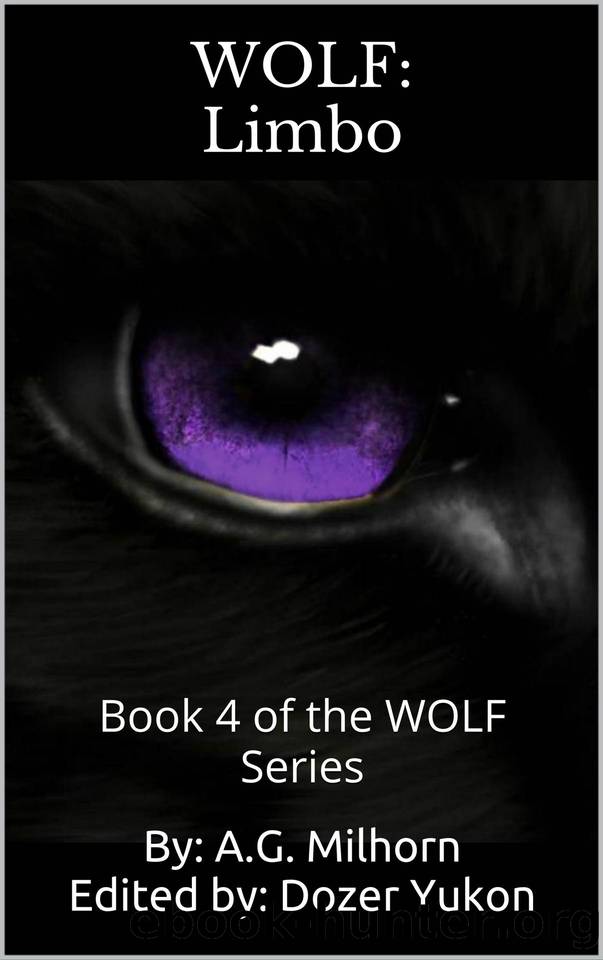 Limbo by Anthony Milhorn