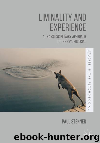 Liminality and Experience by Paul Stenner