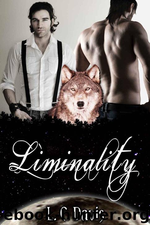 Liminality: Gay Shifter Vampire Romance (Kingdom of Night Book 2) by L.C. Davis