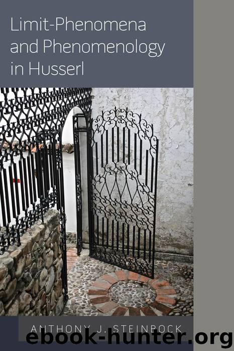 Limit-Phenomena and Phenomenology in Husserl by Steinbock Anthony J