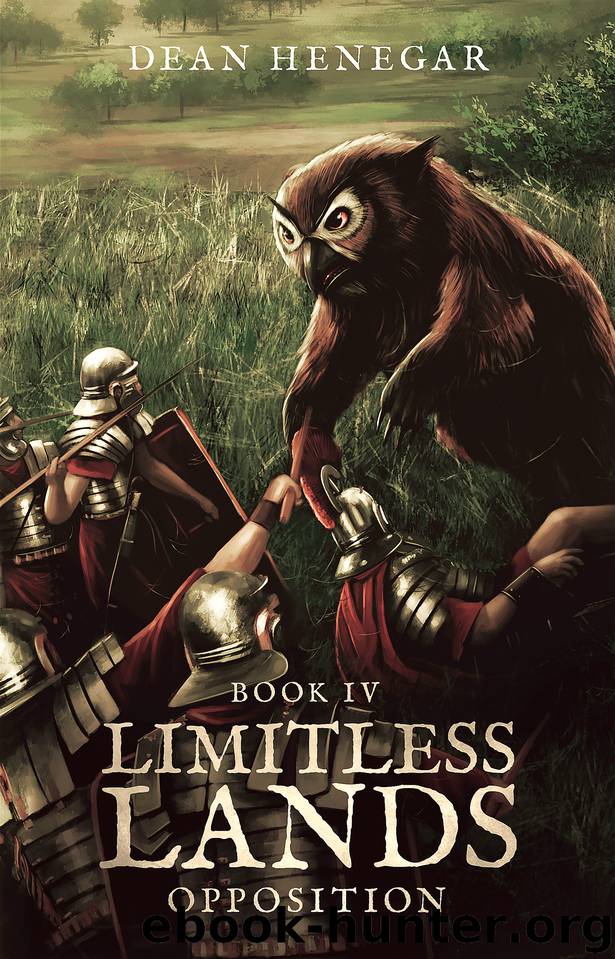 Limitless Lands Book 4: Opposition (A LitRPG Adventure) by Henegar Dean