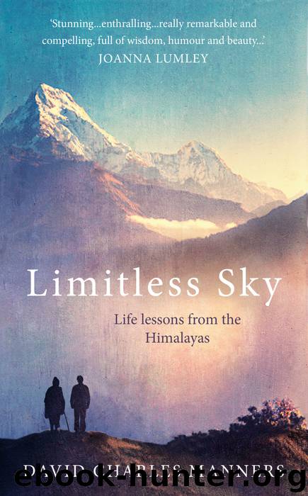 Limitless Sky by David Charles Manners