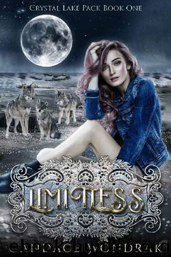 Limitless: A Reverse Harem Shifter Romance (Crystal Lake Pack Book 1) by Candace Wondrak