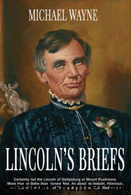 Lincoln's Briefs by Wayne Michael