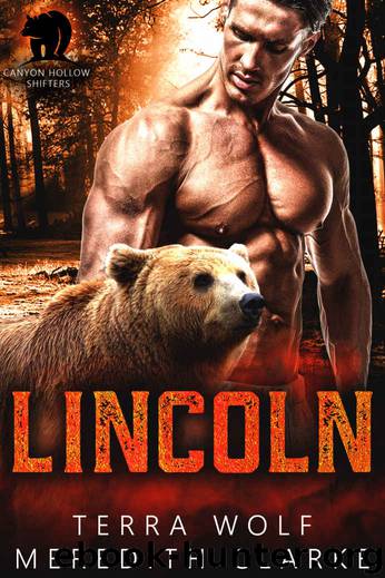 Lincoln_Canyon Hollow Shifters by Terra Wolf & Meredith Clarke