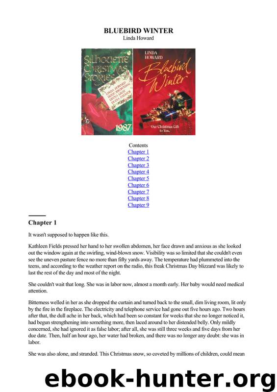 Linda Howard - Sarah 03 by Bluebird Winter