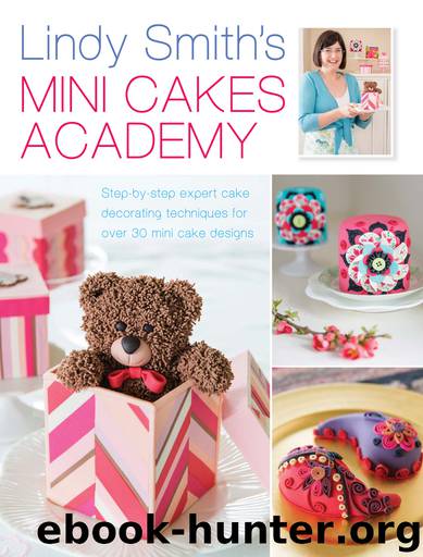 Lindy Smith's Mini Cakes Academy by Lindy Smith