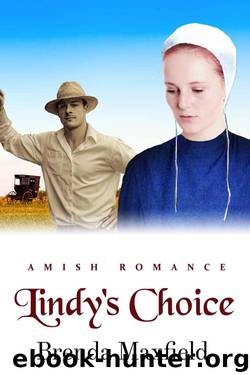 Lindy's Choice (Lindy's Story Book 3) by Brenda Maxfield