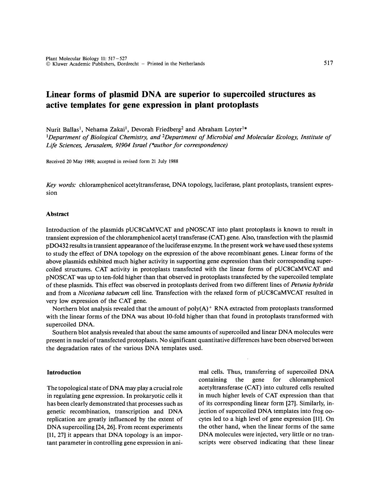 Linear forms of plasmid DNA are superior to supercoiled structures as active templates for gene expression in plant protoplasts by Unknown