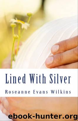 Lined With Silver by Roseanne Evans Wilkins