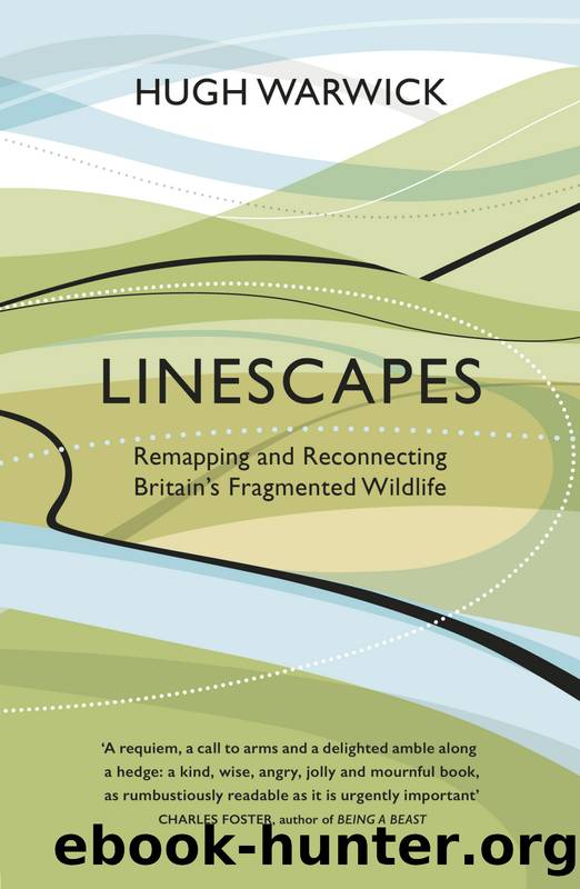 Linescapes by Hugh Warwick