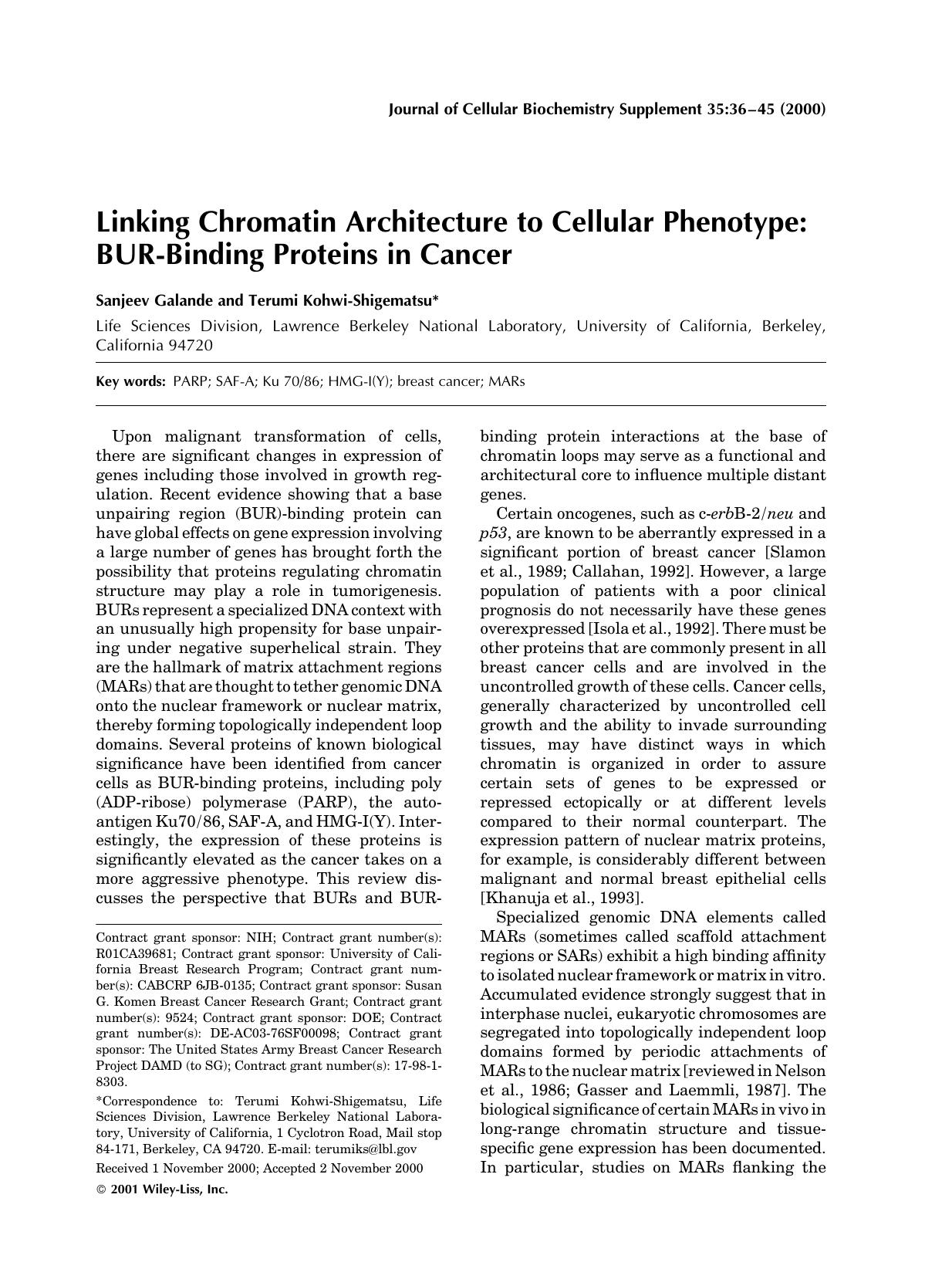 Linking chromatin architecture to cellular phenotype: BUR-binding proteins in cancer by Unknown