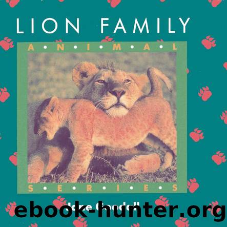 Lion Family by Unknown