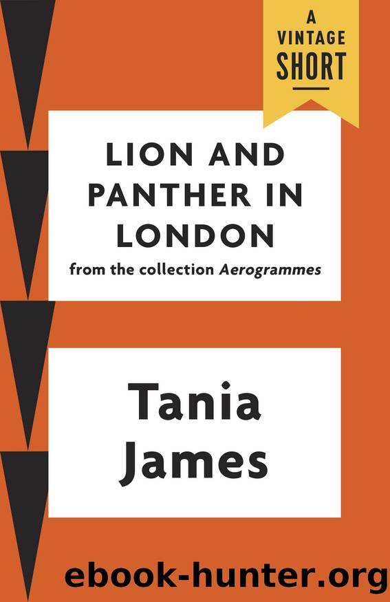 Lion and Panther in London by Tania James