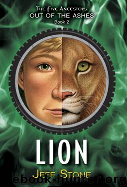 Lion by Jeff Stone