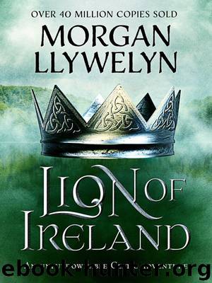Lion of Ireland by Unknown