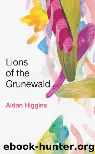 Lions of the Grunewald by Aidan Higgins